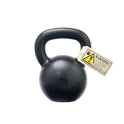 Bild von VORBESTELLUNG!!! - 20kg Dragon Door Military Grade RKC Kettlebell